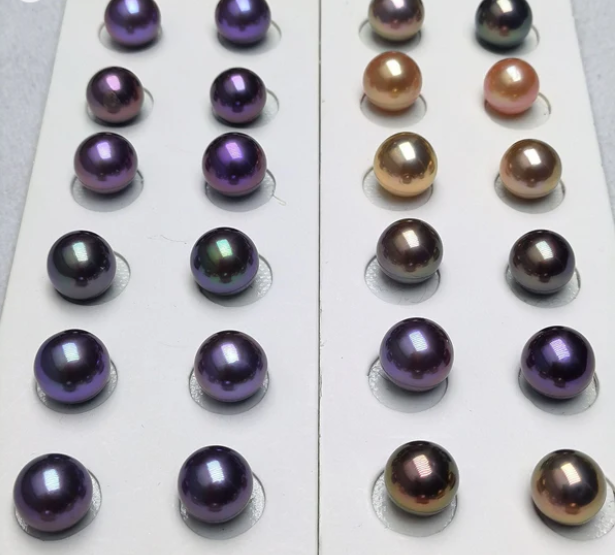 A06.【Live】Double Edison  Pearl  Oyster (Two 8-10mm pearls per shell). New Arrival💥💥💥