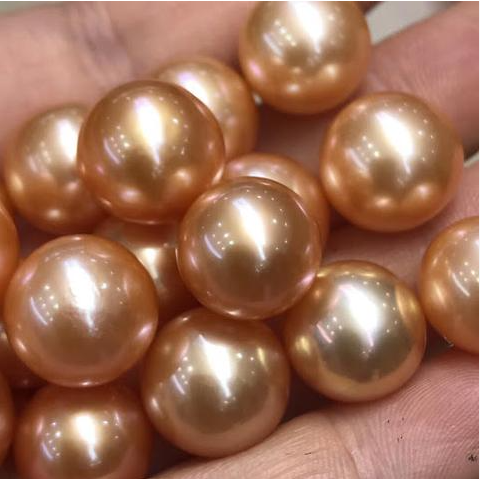 A10.【Live】Rose Gold Queen Edison pearl oyster