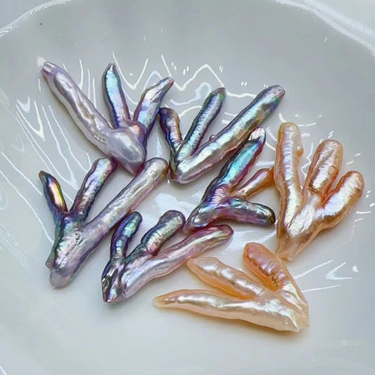 001. [On-site Promotion] Brand New Colored Coral Pearl Oysters