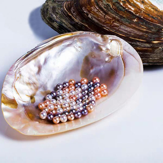 0.000.💥[LIVE OPENING] Cluster king with 20-30 pearls💥 Company's best selling shell